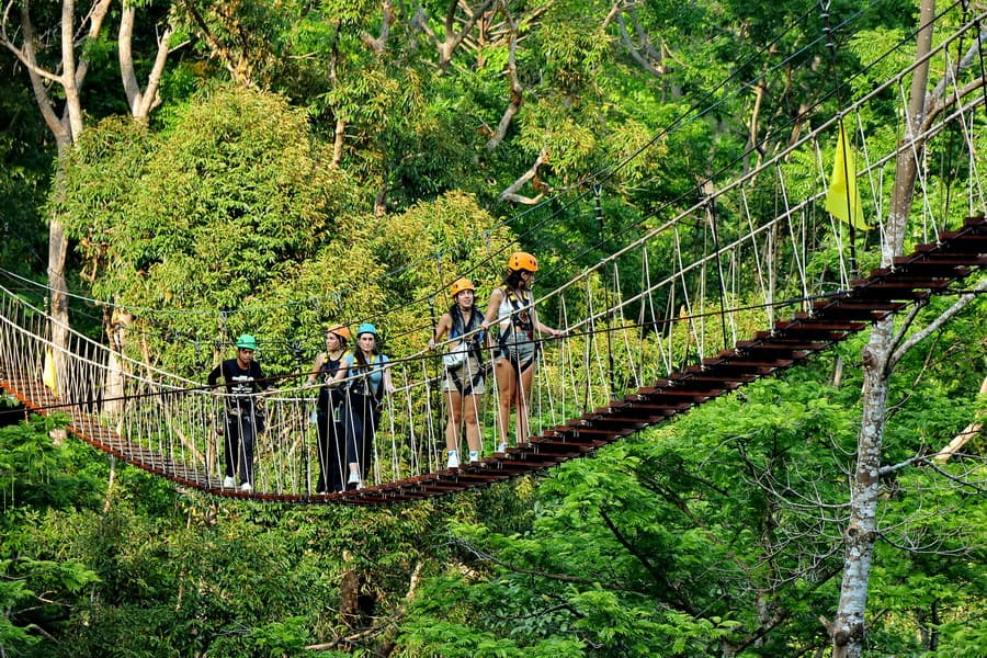 Jungle Flight Zipline Zipline