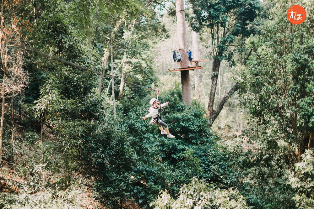 Jungle Flight rainforest adventure, photo 8