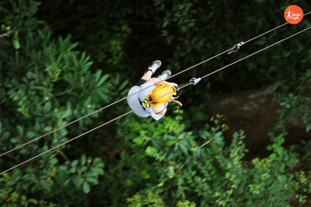 Jungle Flight rainforest adventure, photo 12
