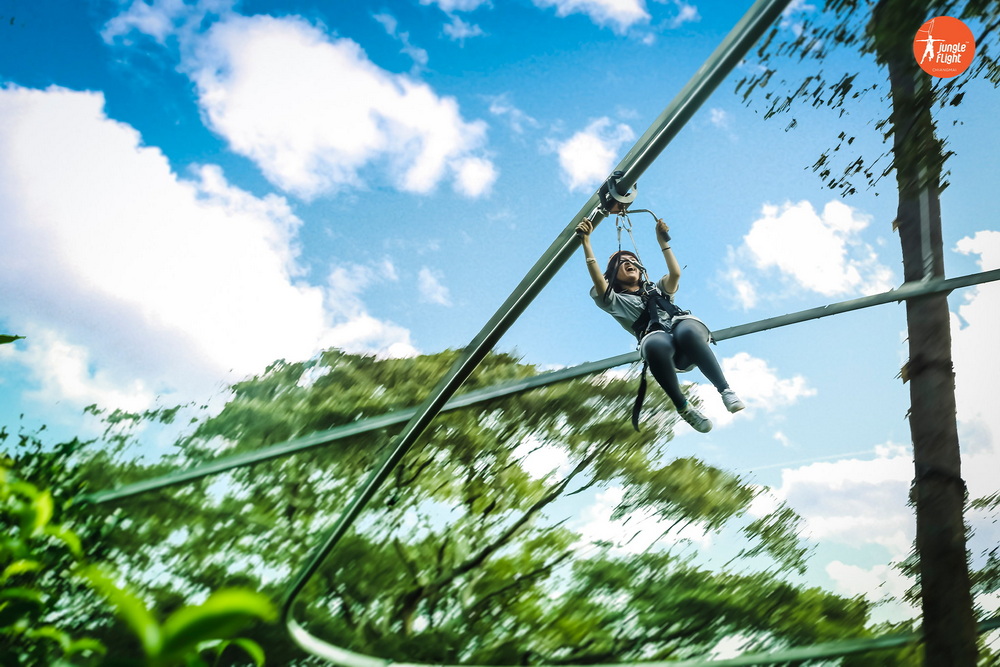 Jungle Flight rainforest adventure, photo 22