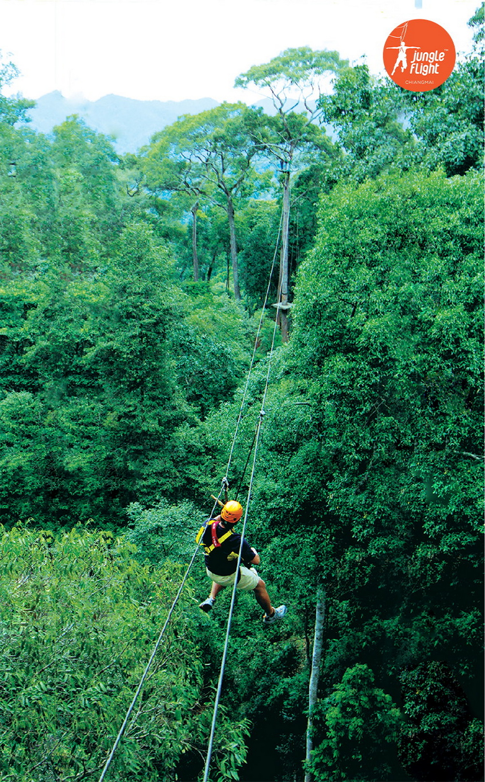 Jungle Flight rainforest adventure, photo 26