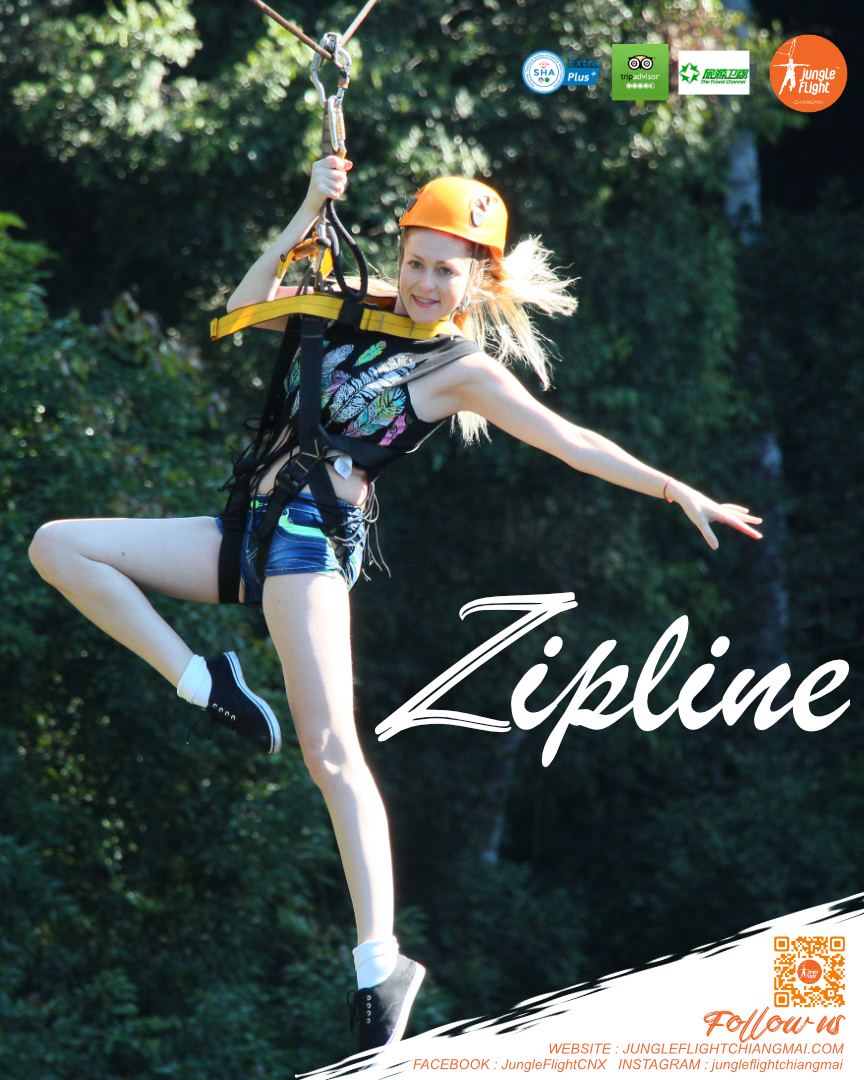 jf1_zipline